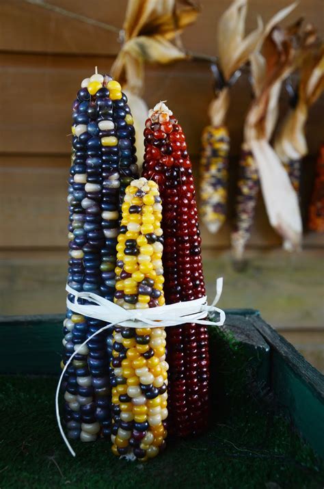 Ps♡ Diy Indian Corn Decorations