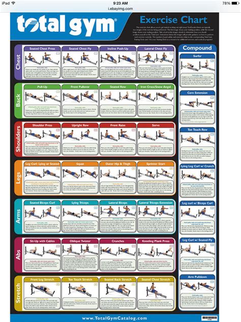 Total Gym Exercise Chart To Target Every Muscle Group Total Gym