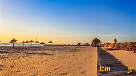 Praia Ilha Djerba Djerba Island Beach