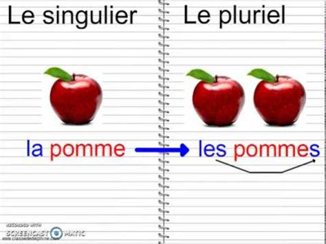 Le Singulier Et Le Pluriel Des Noms Youtube