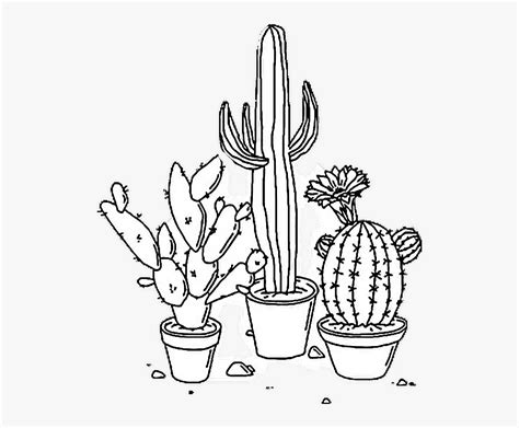 Aesthetic coloring pages helps you to relax and feel better. Aesthetic Coloring Pages Collection - Whitesbelfast