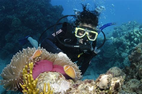 Snorkeling Great Barrier Reef Explore Group
