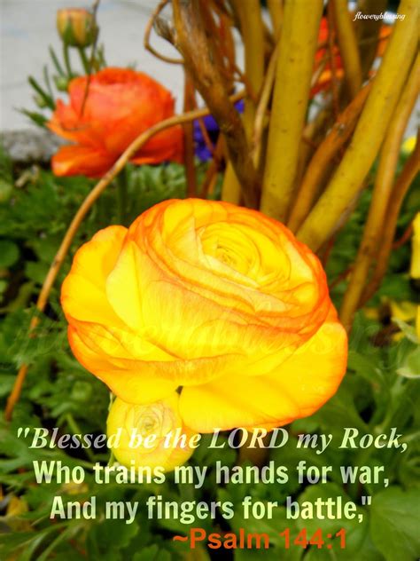 Flowery Blessing Blessed Be The Lord My Rock Who Trains My Hands For