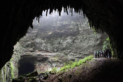 Parque De Las Cavernas Del Río Camuy Lares Puerto Rico Descubra