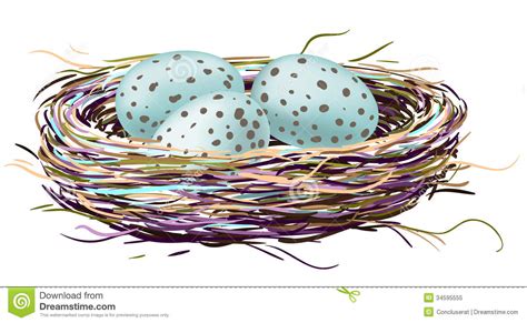 Make a simple colour matching and sorting game using an egg box, colouring pens and coloured. Birds nest with robin eggs stock vector. Image of color ...