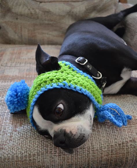 Boston Terrier Friendly And Bright Crochet Dog Hat Crochet Dog