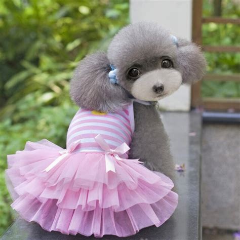 Buy Cute Summer Dog Dress Soft Pet Dog Clothes For