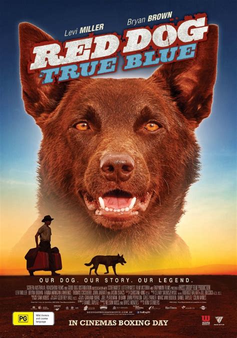 Red Dog True Blue New Trailer And Poster Roadshow Media Release
