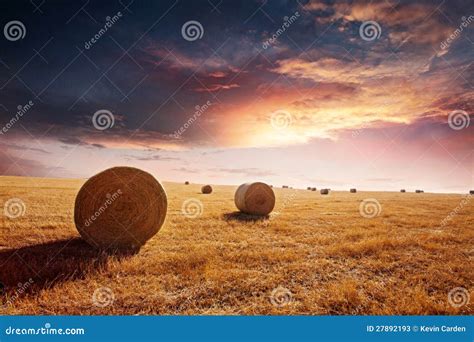 Sunset At The Hay Field Stock Image Image Of Countryside 27892193