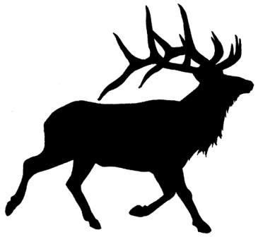 59 Animals ideas | antler ideas, antler crafts, deer antler crafts