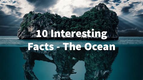 Infographic 50 Awesome Ocean Facts You Ll Love