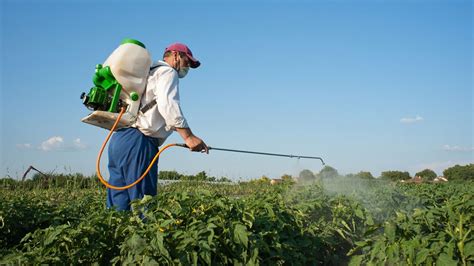 Lutilisation De Pesticides Sur Les Fruits Et Légumes Toujours Mieux