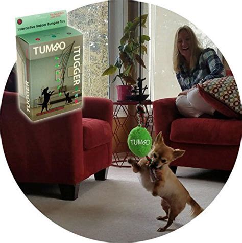 Sound barrier indoor sonic fence by hi tech pet. Tumbo Indoor Tiny Tugger (Energetic ceiling hanging bungee ...