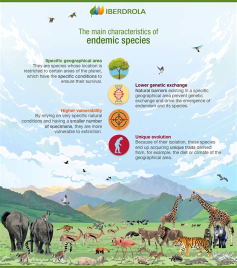 Endemic Species What They Are And How To Conserve Them Iberdrola