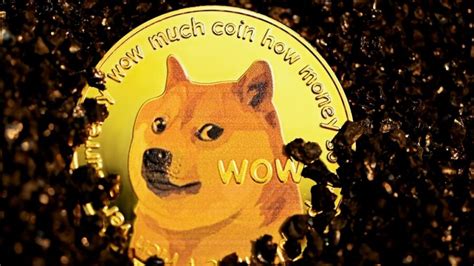 What The Revival Of The Ancient Doge Meme Tells Us About The Lifecycle