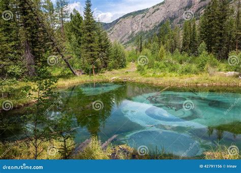 Lake Mountain Forest Turquoise Stock Photo Image Of Shore Trees