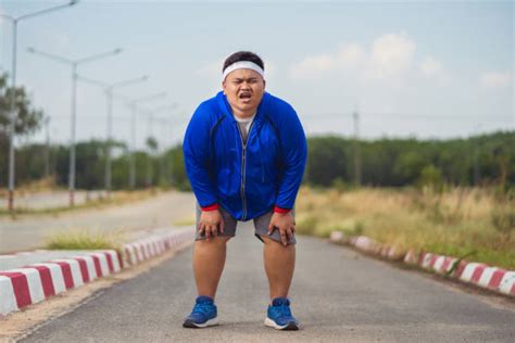 540 Funny Of Fat People Running Stock Photos Pictures And Royalty Free
