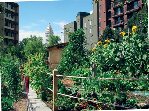Urban Gardens How To Plant In A Small Space