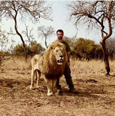 Kevin Richardson The Lion Whisperer And One Of His Lions Dieren