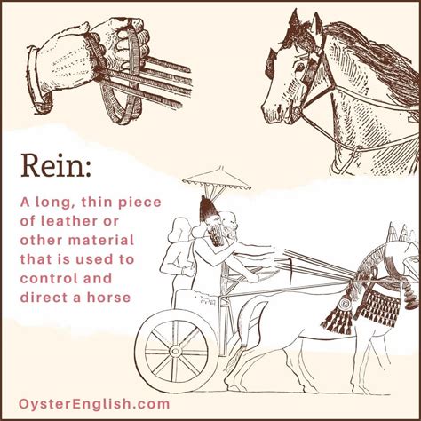 Idiom Take Over The Reins Meaning And Examples