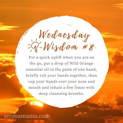 Wednesday Wisdom #8 | Wednesday wisdom, Wisdom, Wisdom quotes