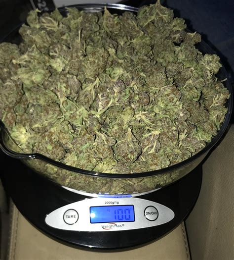 Weed Measurements Guide Weights Quantities Prices Budverde
