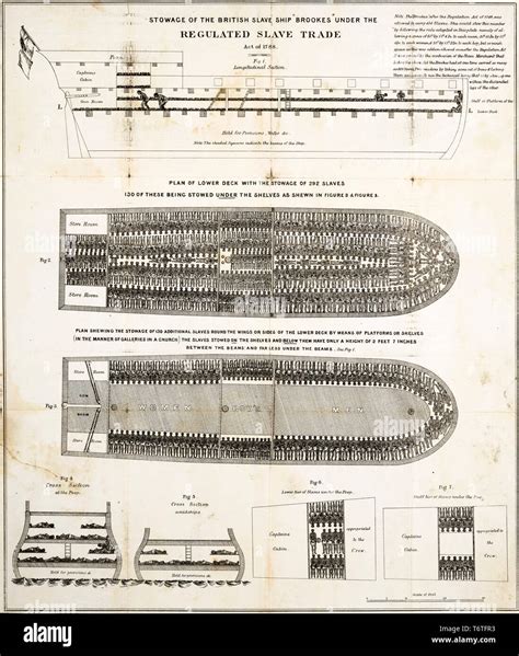 stowage of slaves diagram of the british slave ship brookes under the regulated slave trade act