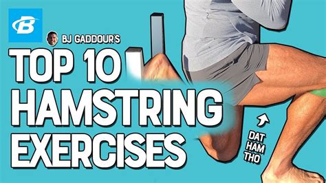 Top 10 Hamstrings Exercises Bj Gaddour Leg Workouts Youtube