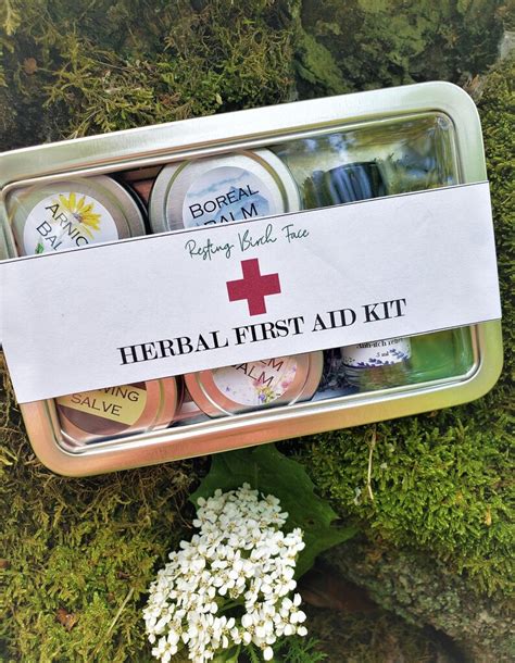 Herbal St Aid Kit All Natural For Hiking Camping Travel Etsy