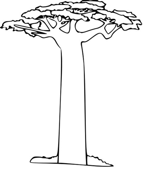 Affichez votre arbre généalogique ou celui d'une autre personne en cliquant sur son nom. Coloriage arbre Baobab à imprimer