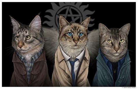 Supurrnatural Yay Supernatural Cats Cat Art Cats 4x6 Postcard