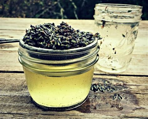 10 Reasons To Grow Lavender Essential Oils Herbs Herbal Oil Growing