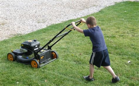Enjoying so much privilege with compact storage is unimaginable! How to Choose the Best Push Lawn Mower - Lawn Tools Guide