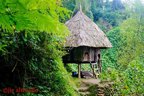 The bahay kubo is considered as an icon in the philippines. There are many varieties of an Ifugao House. It is based ...