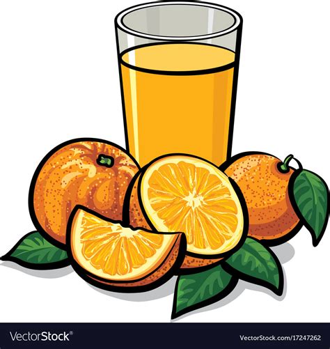 Fresh Orange Juice Royalty Free Vector Image Vectorstock
