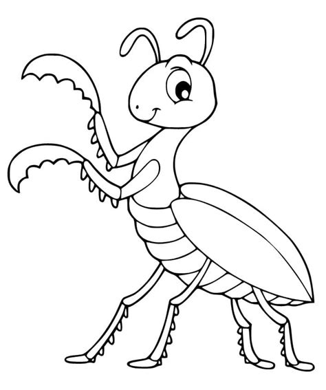 Carolina Praying Mantis Coloring Page Free Printable Coloring Pages