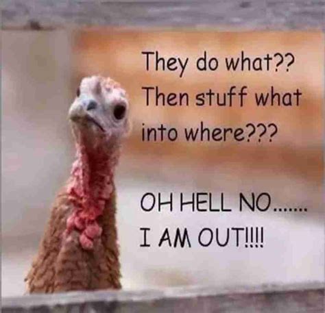 40 funny happy thanksgiving day memes 2020 guide for moms