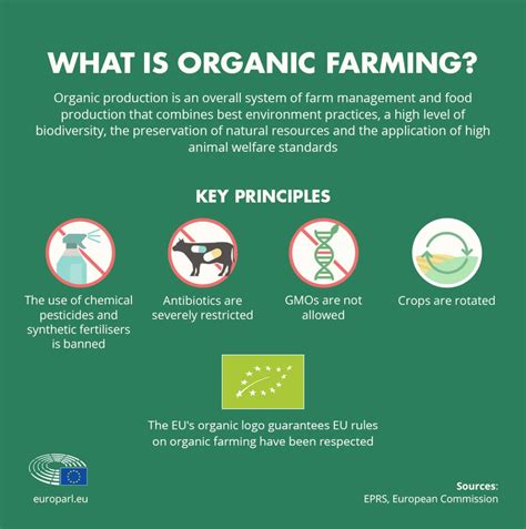 The Eus Organic Food Market Facts And Rules Infographic News