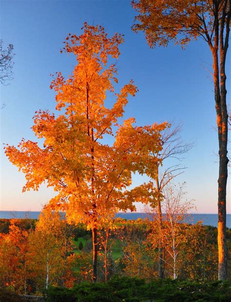 Fall Foliage Lights Up Wisconsins Door County Travel