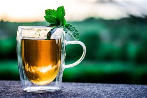 What Is Pennyroyal Tea Tea Crossing