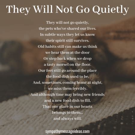Popular quotes on the loss of a cat by famous authors, celebrities, and newsmakers. Cat Loss Poems Archives - Sympathy Card Messages