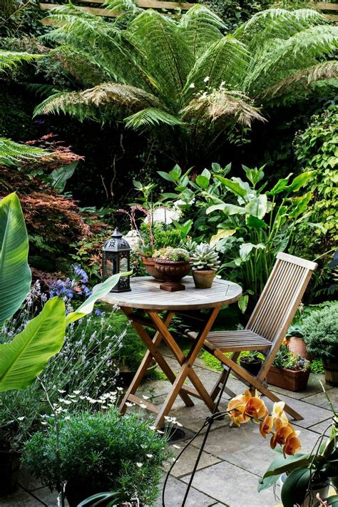 23 Tropical Courtyard Garden Ideas To Try This Year Sharonsable