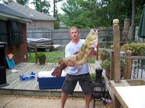 Check spelling or type a new query. Ross Barnett Rez | Lake living, Lake, Reservoir