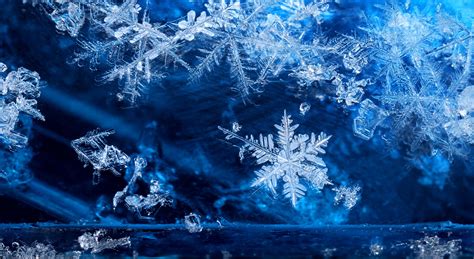 Metlink Royal Meteorological Society Snowflakes