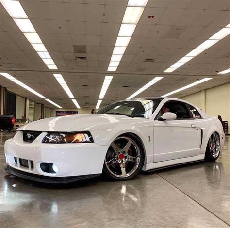 Maybe you would like to learn more about one of these? 4th gen Oxford White 2004 Ford Mustang Cobra Terminator ...