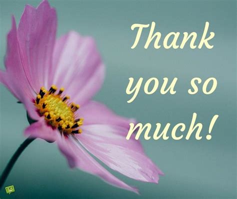 Thank You Images Pictures To Help You Express Your Gratitude Thank