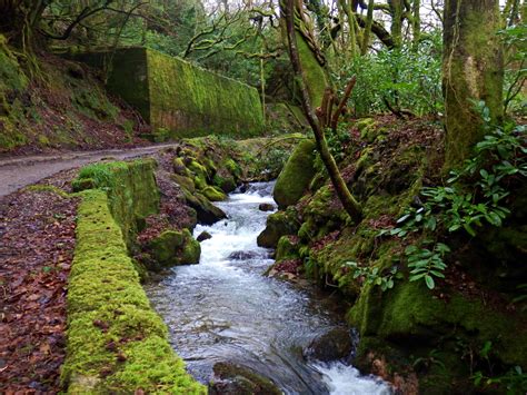 Mike's Cornwall: A Magical Walk Along the Gover Valley, St.Austell, Cornwall