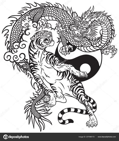 Chinese think highly about tigers. Chinese Draak Tijger Zwart Wit Tattoo Vectorillustratie ...