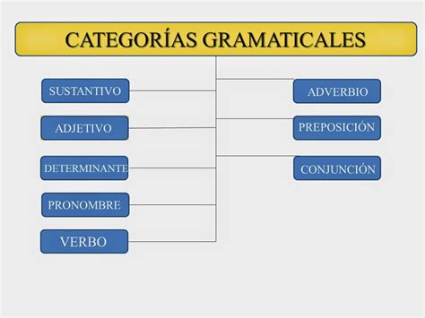 Categor As Gramaticales Y La Oraci N Simple