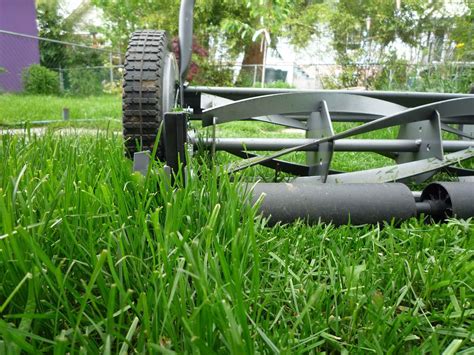 Customers quickly came to appreciate the high standard of work and the company grew. Lawn Care Solutions | Connecticut